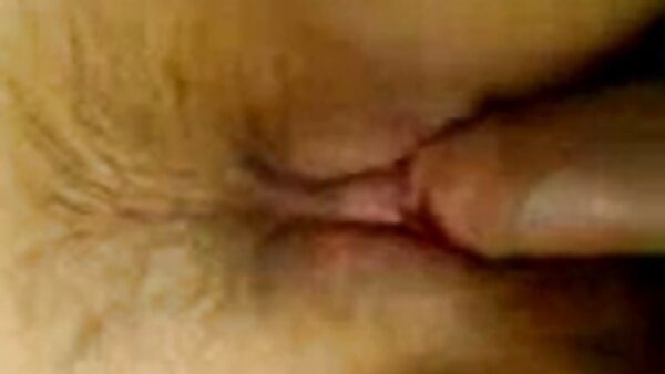 سابرینا سابرینا داستانهای سکسی با مادرزن شلخته به سبک دختر گاوچران در حین زدن باسن، مقعدش را لعنت می‌کند.